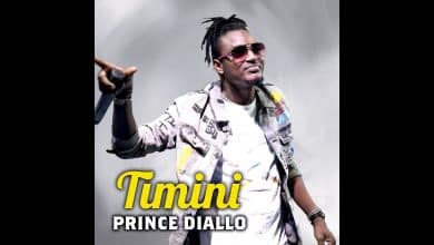 Prince Diallo - Timini (Officiel 2023)